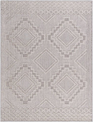 Arno Modern Light Gray Area Rug