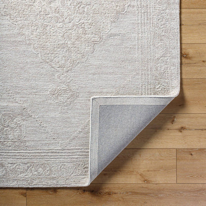 Garbiel Traditional Ash Area Rug
