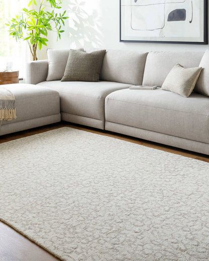 Shiann Modern Light Silver Area Rug