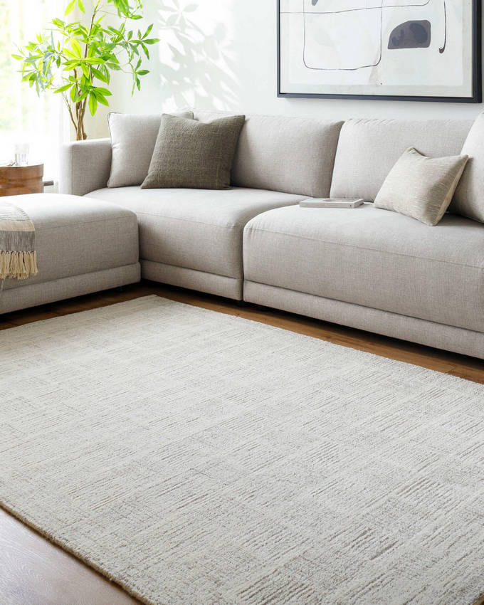 Yomaira Modern Light Silver Area Rug