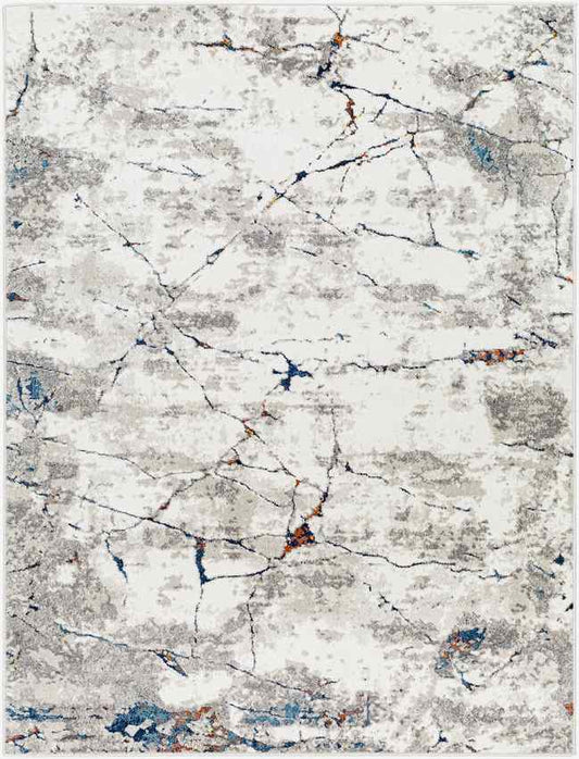 Ricci Modern Medium Gray Area Rug
