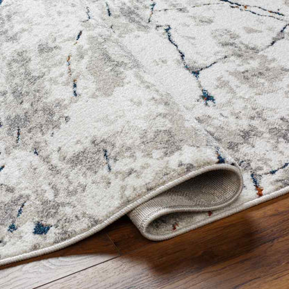 Ricci Modern Medium Gray Area Rug