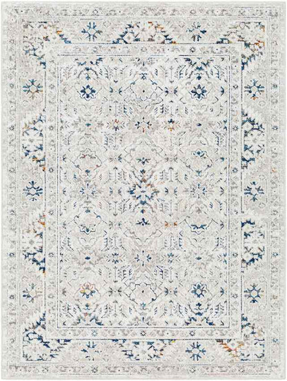 Quince Traditional Light Gray Area Rug