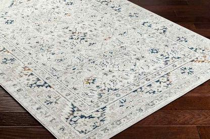 Quince Traditional Light Gray Area Rug
