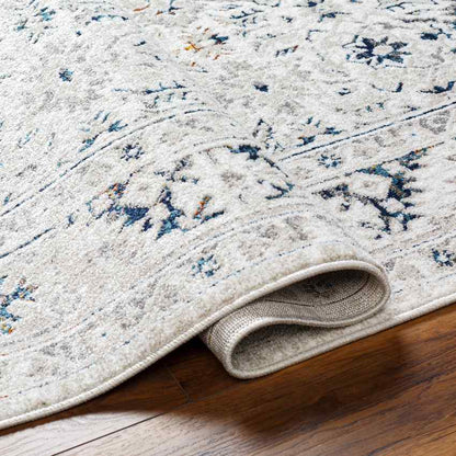 Quince Traditional Light Gray Area Rug