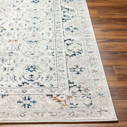 Quince Traditional Light Gray Area Rug