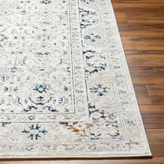 Quince Traditional Light Gray Area Rug