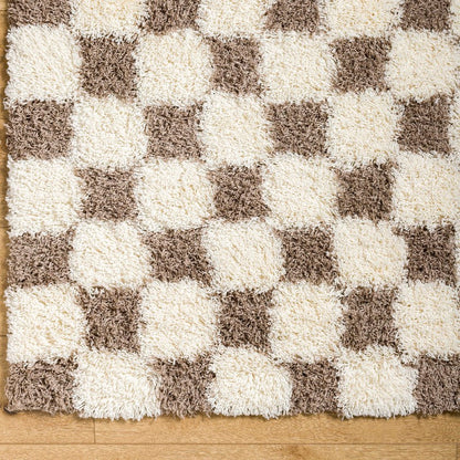 Bondurant Modern Brown Area Rug