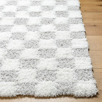 Bondurant Modern Light Gray Area Rug