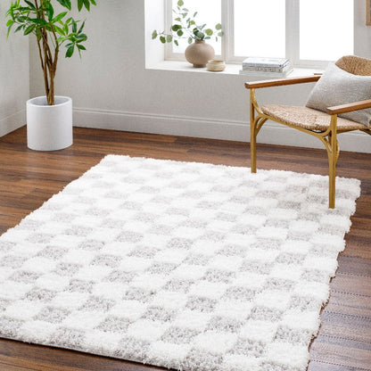 Bondurant Modern Light Gray Area Rug