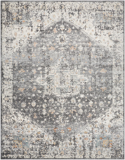 Ranee Traditional Charcoal Area Rug