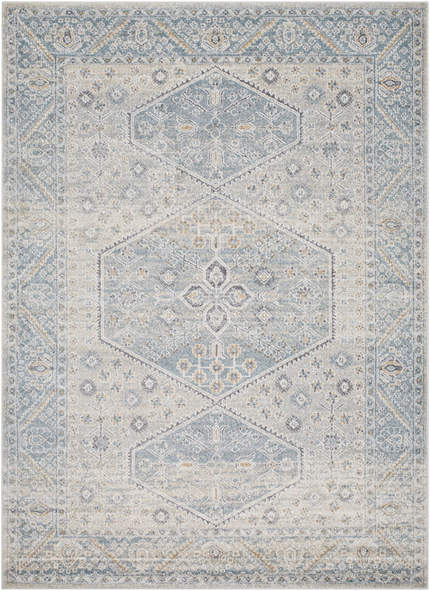 Demarco Traditional Denim/Charcoal Area Rug