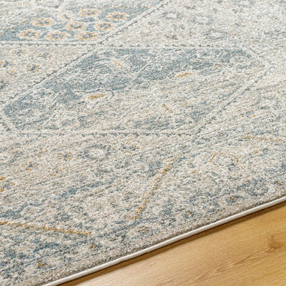 Demarco Traditional Denim/Charcoal Area Rug
