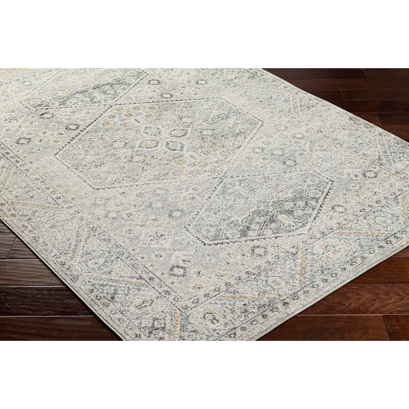 Demarco Traditional Light Gray Area Rug