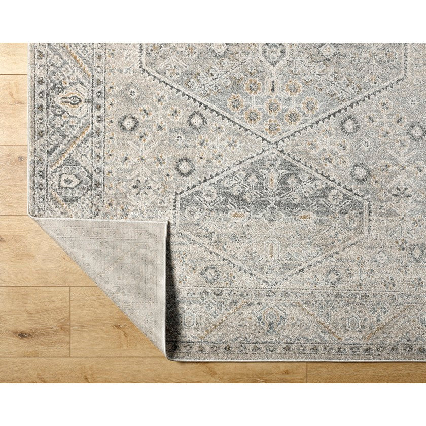 Demarco Traditional Light Gray Area Rug