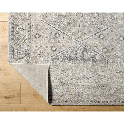 Demarco Traditional Light Gray Area Rug