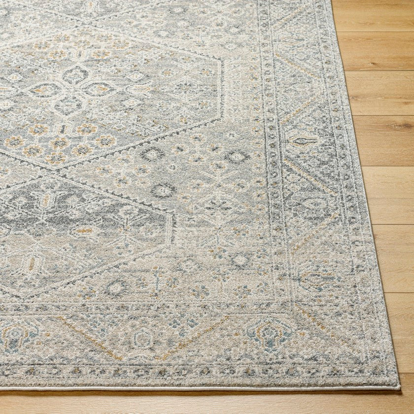 Demarco Traditional Light Gray Area Rug