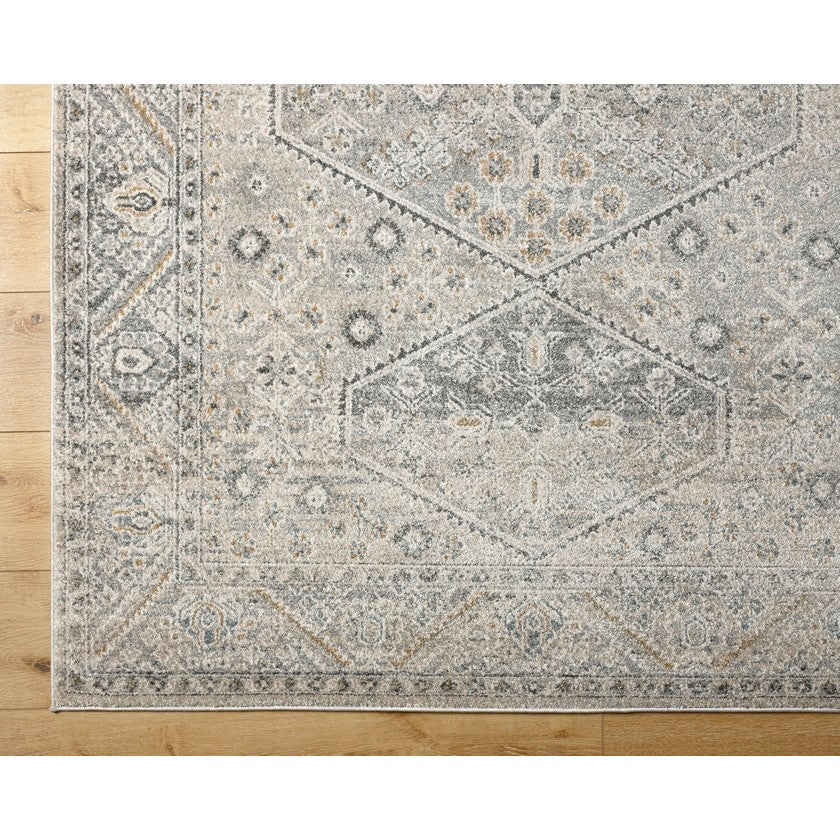 Demarco Traditional Light Gray Area Rug