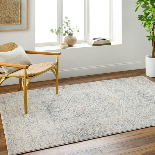 Demarco Traditional Light Gray Area Rug