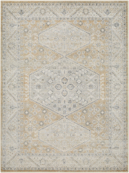Demarco Traditional Saffron Area Rug