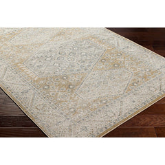Demarco Traditional Saffron Area Rug