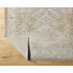 Demarco Traditional Saffron Area Rug