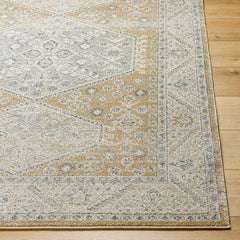 Demarco Traditional Saffron Area Rug