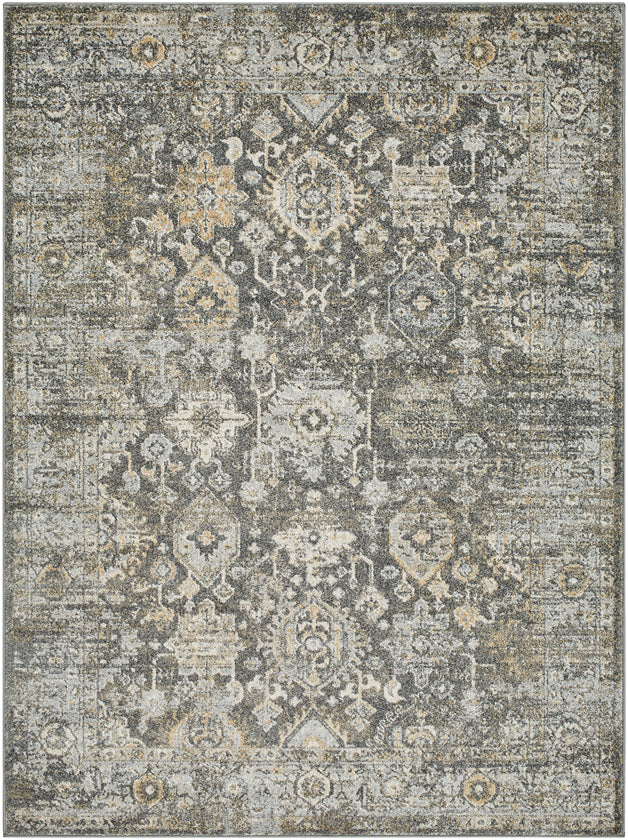 Catarino Traditional Black/Light Gray Area Rug