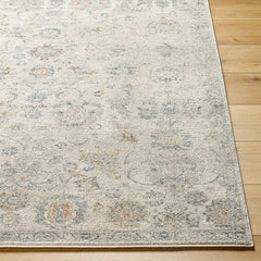 Flint Traditional Medium Gray/Light Beige Area Rug