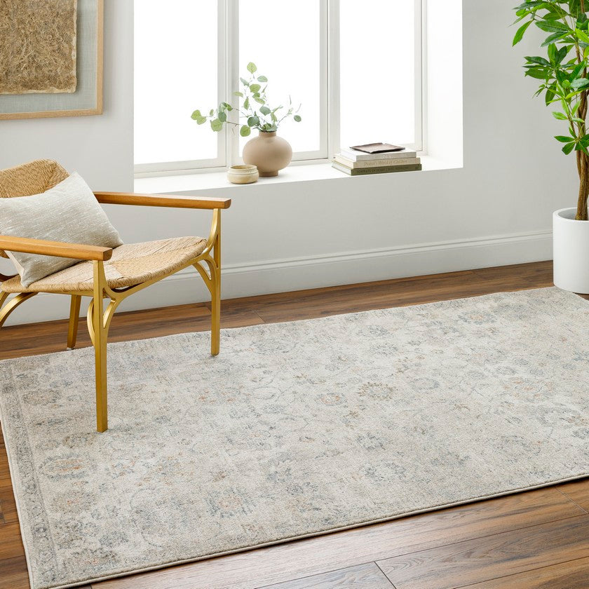 Flint Traditional Medium Gray/Light Beige Area Rug