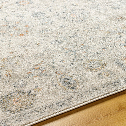 Flint Traditional Medium Gray/Light Beige Area Rug
