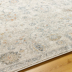 Flint Traditional Medium Gray/Light Beige Area Rug