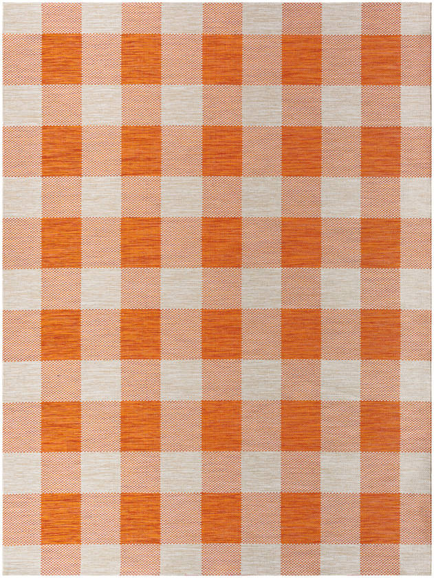Verena Coastal Burnt Orange Area Rug