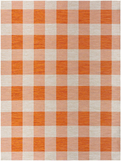 Verena Coastal Burnt Orange Area Rug