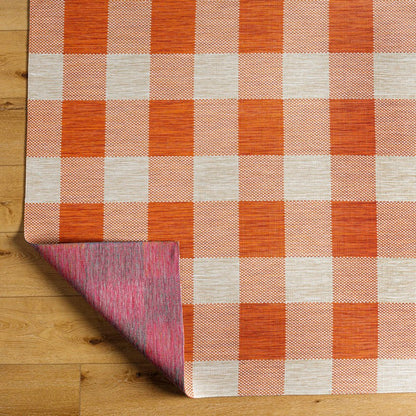 Verena Coastal Burnt Orange Area Rug