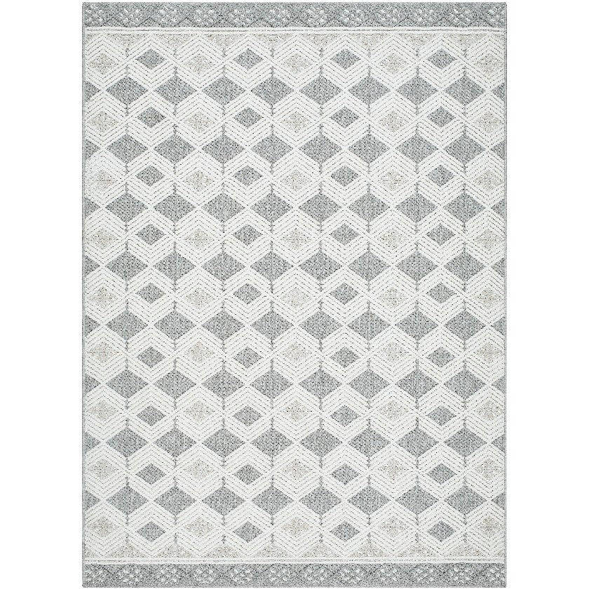 Aryan Modern Light Gray Area Rug