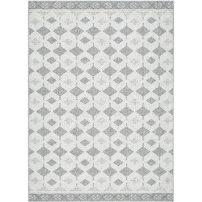 Aryan Modern Light Gray Area Rug