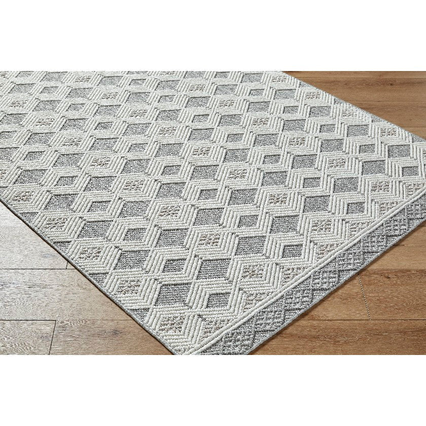 Aryan Modern Light Gray Area Rug