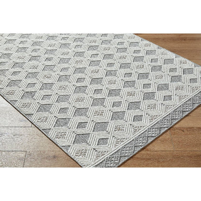 Aryan Modern Light Gray Area Rug
