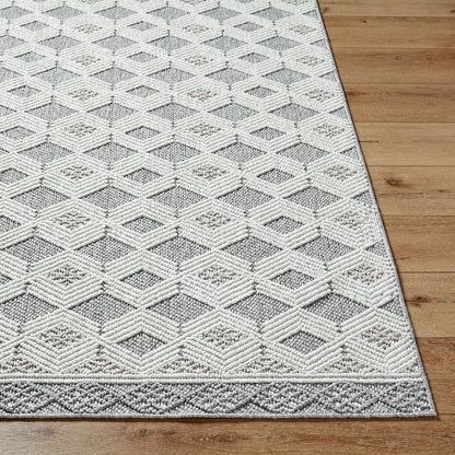 Aryan Modern Light Gray Area Rug