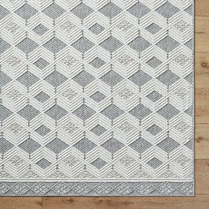 Aryan Modern Light Gray Area Rug