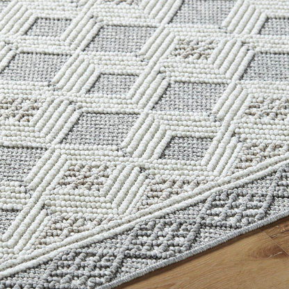 Aryan Modern Light Gray Area Rug