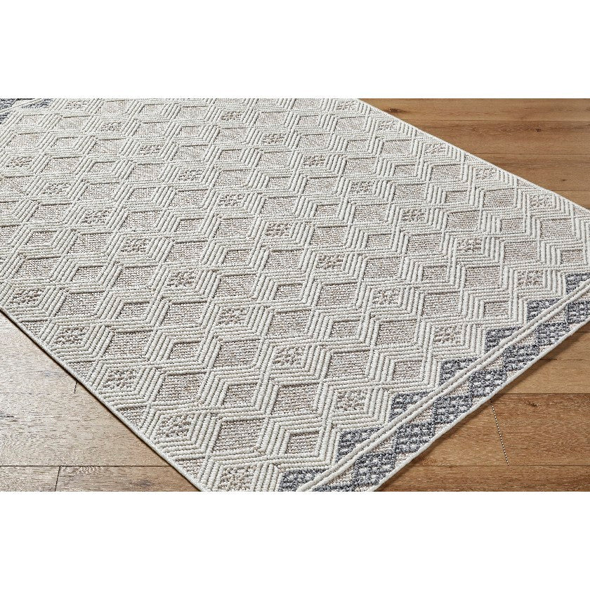 Aryan Modern Ivory Area Rug