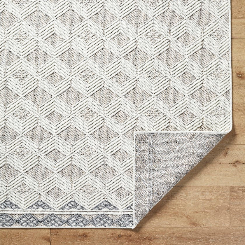 Aryan Modern Ivory Area Rug