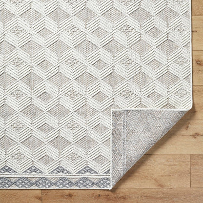 Aryan Modern Ivory Area Rug