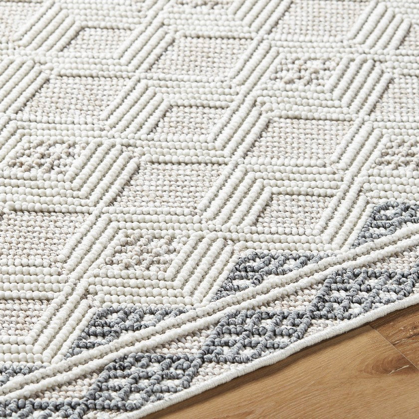 Aryan Modern Ivory Area Rug