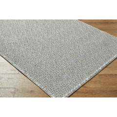 Deniz Solid and Border Light Gray Area Rug