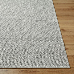 Deniz Solid and Border Light Gray Area Rug