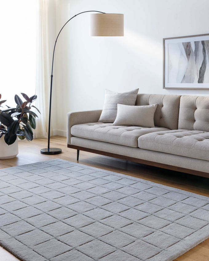 Richad Modern Gray Area Rug