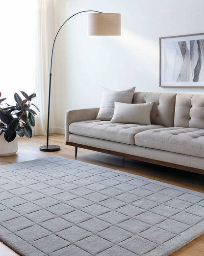 Richad Modern Gray Area Rug